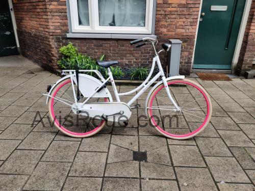 Batavus Young Dutch avis et fiche technique